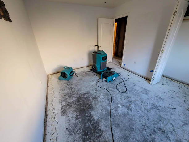  Priest River, ID Water damage restoration Pros